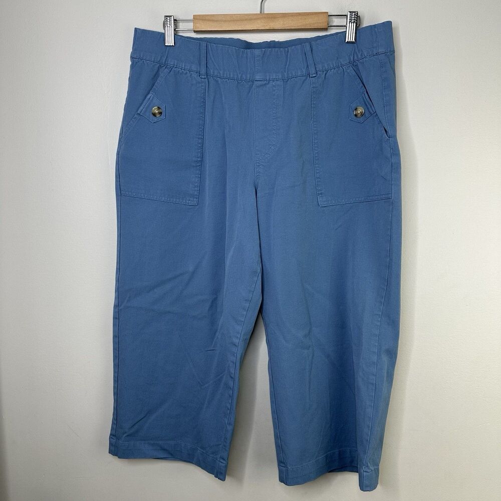 AnyBody Pants Womens Large Petite Blue Capri Pull on Relaxed Wide Leg Casual
